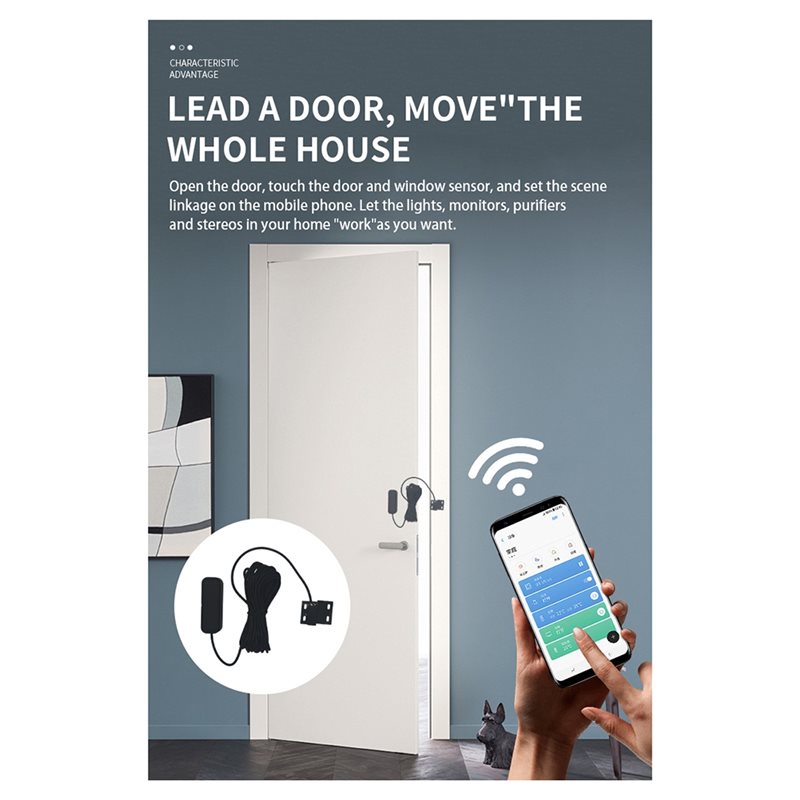 Sensore Magnetico Cablato DIGI - Window Alarm Sensor recensione e prezzo