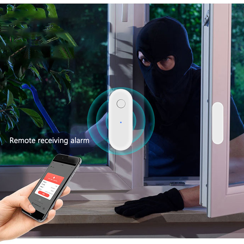 Rilevatore Magnetico Intellige - Window Alarm Sensor recensione e prezzo