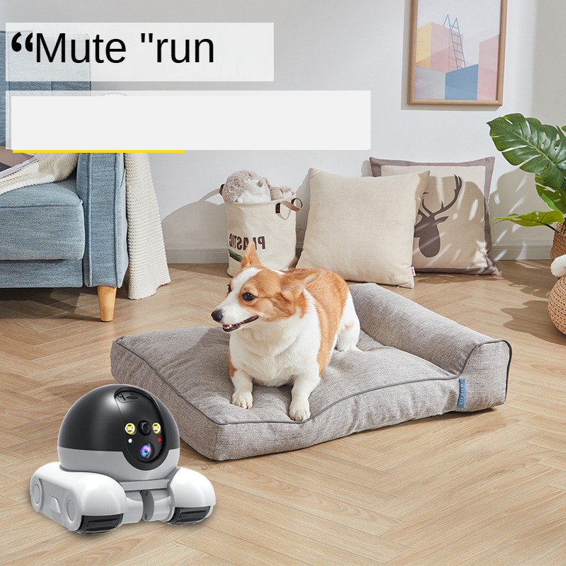 Nuova Telecamera di Sicurezza  - Home Security Robot recensione e prezzo